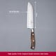 Кований ніж-сантоку 17 см Victorinox GRAND MAITRE Wood Santoku 7.7320.17G