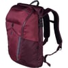Рюкзак для ноутбука 15″ Victorinox Travel ALTMONT Active/Burgundy 602138