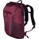 Рюкзак для ноутбука 15″ Victorinox Travel ALTMONT Active/Burgundy 602138