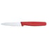 Ніж 8 см Victorinox STANDARD Paring 5.0601