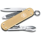 Швейцарский складной нож 58мм Victorinox CLASSIC Limited Edition 0.6221.L19