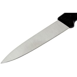 Набор ножей (2 шт) Victorinox SWISS CLASSIC Paring 6.7603.B