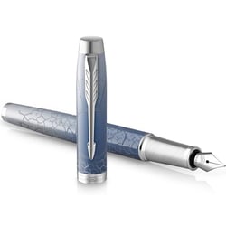 Ручка перьевая Parker IM Premium SE Last Frontier Polar CT FP F