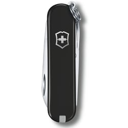 Швейцарський складаний ніж 58мм Victorinox CLASSIC SD Colors 0.6223.3G