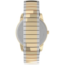 Чоловічий годинник Timex EASY READER Txg025500