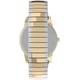 Мужские часы Timex EASY READER Txg025500