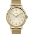 Жіночий годинник Timex ORIGINALS Classic Tx2n598