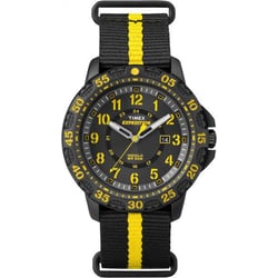 Мужские часы Timex EXPEDITION Gallatin Tx4b05300