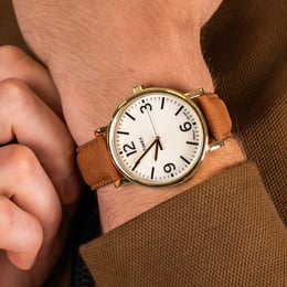 Часы Timex ORIGINALS Oversized Tx2p527