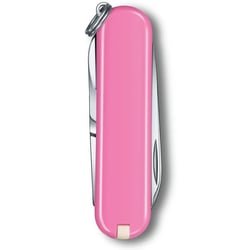 Швейцарский складной нож 58мм Victorinox CLASSIC SD Colors 0.6223.51G