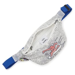 Сумка на пояс Kipling FRESH Kh Clear (78O)
