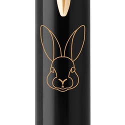 Ручка шариковая Parker IM ZODIAC Black GT BP Кролик