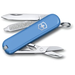 Швейцарський складаний ніж 58мм Victorinox CLASSIC SD Colors 0.6223.28G
