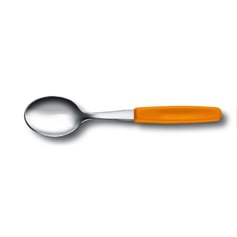 Чайна ложка Victorinox STANDARD Tea 5.1576.L9