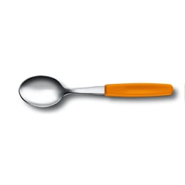Чайна ложка Victorinox STANDARD Tea 5.1576.L9