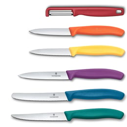 Набір: 6 інструментів з підставкою Victorinox SWISS CLASSIC Utility Block 6.7126.6C1