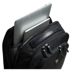 Рюкзак для ноутбука 15″ Victorinox Travel ALTMONT Professional/Black 602151