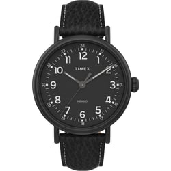 Мужские часы Timex STANDARD XL Tx2t91000