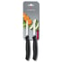 Набор ножей (2 шт) Victorinox SWISS CLASSIC Paring 6.7603.B