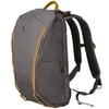 Рюкзак для ноутбука 13″ Victorinox Travel ALTMONT Active/Grey 602133