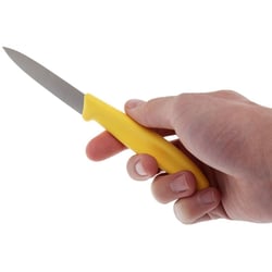 Набір ножів (2 шт) Victorinox SWISS CLASSIC Paring 6.7606.L118B