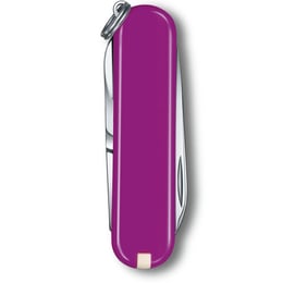 Швейцарский складной нож 58мм Victorinox CLASSIC SD Colors 0.6223.52G
