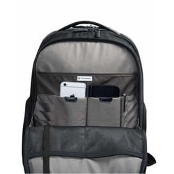 Рюкзак для ноутбука 15″ Victorinox Travel ALTMONT Professional/Black 602154