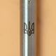Ручка шариковая Parker JOTTER UKRAINE Stainless Steel CT BP Трезубец + Слава Україні! + Героям Слава!