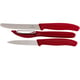 Набір кухонний Victorinox SWISS CLASSIC Paring Set 6.7111.31