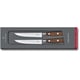 Набір кованих ножів для стейка (2 шт) Victorinox GRAND MAITRE Steak 7.7240.2W