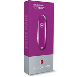 Швейцарський складаний ніж 58мм Victorinox CLASSIC SD Colors 0.6223.52G