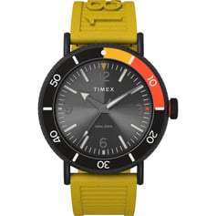 Мужские часы Timex STANDARD Diver Tx2v71600