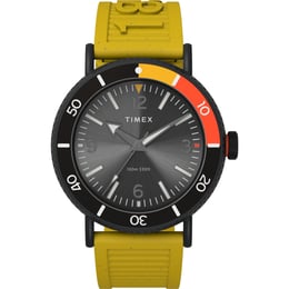 Мужские часы Timex STANDARD Diver Tx2v71600