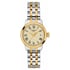 Жіночий годинник Tissot CLASSIC DREAM T129.210.22.263.00