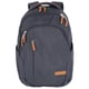 Рюкзак для ноутбука 15.6'' Travelite BASICS ALLROUND/Navy TL096508-20