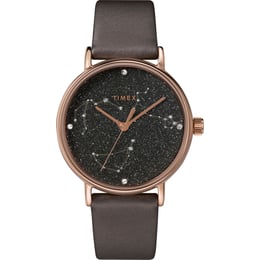Жіночий годинник Timex CELESTIAL OPULENCE Tx2t87700