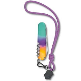 Швейцарський складаний ніж Victorinox COMPANION Sydney Style 1.3909.E222