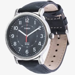 Часы Timex ORIGINALS Oversized Tx2p219