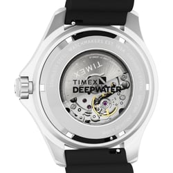 Мужские часы Timex DEEP WATER Meridian Tx2y40000