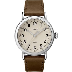 Мужские часы Timex STANDARD Tx2t20100