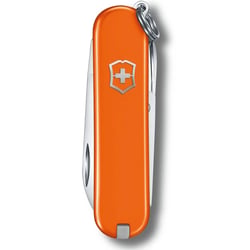 Швейцарський складаний ніж 58мм Victorinox CLASSIC SD Colors 0.6223.83G