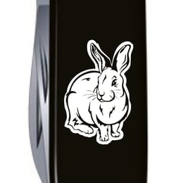 Швейцарський складаний ніж 91мм Victorinox SPARTAN ZODIAC 1.3603.3_Z2030u
