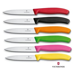 Ніж 10 см Victorinox SWISS CLASSIC Paring 6.7706.L119