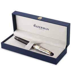 Ручка перьевая Waterman EXPERT Reflections Of Paris GT FP M