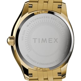 Жіночий годинник Timex ARIANA Tx2w17600