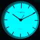 Женские часы Timex FAIRFIELD Tx2t31800