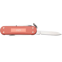 Швейцарський складаний ніж 58 мм Victorinox CLASSIC SD 0.6221.L25