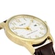 Мужские часы Timex EASY READER Signature Tx2r65100