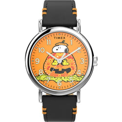 Мужские часы Timex PEANUTS Weekender Pumpkin Tx2y12300