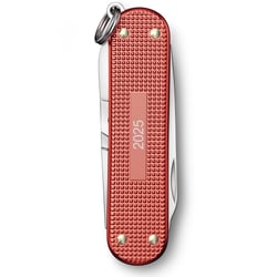 Швейцарский складной нож 58 мм Victorinox CLASSIC SD 0.6221.L25